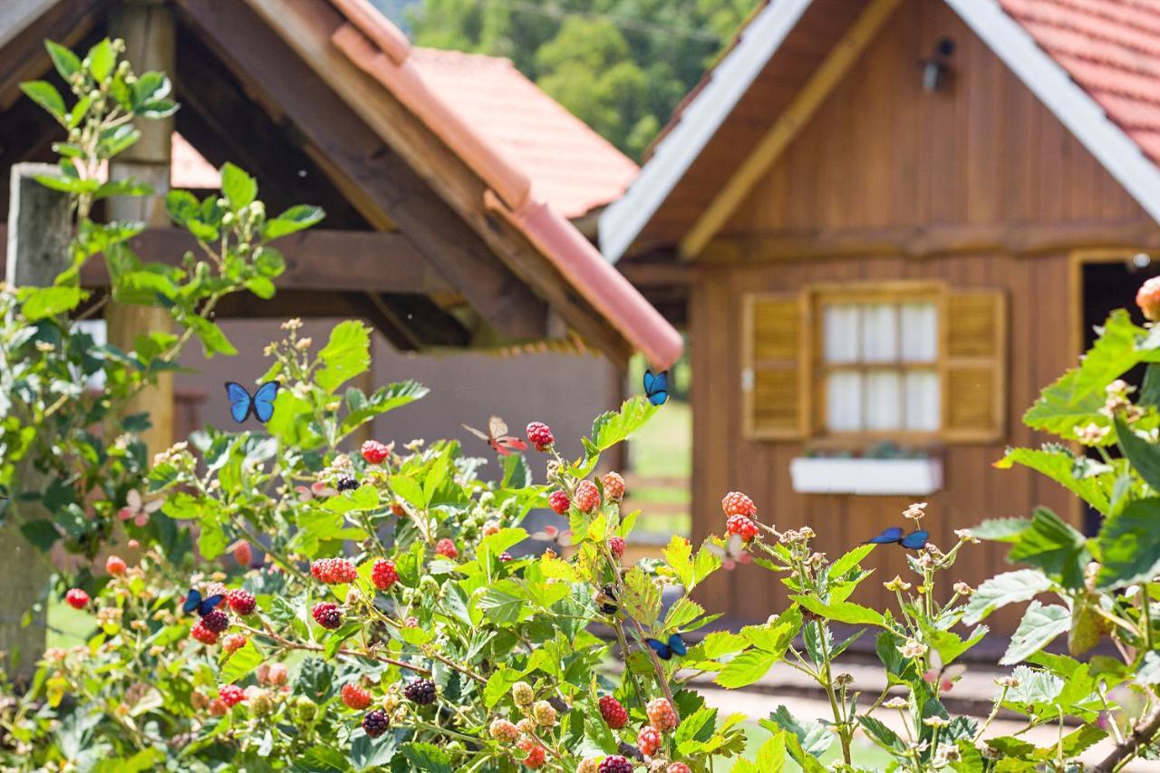 Pousada Rural Pavao - Suites E Chales Urubici Dış mekan fotoğraf